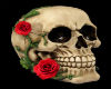 Skull With Red Rose