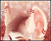 :0: Missi Ears v4