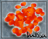 !D!Orange Rose Petals