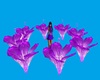 Purple Flowers Spin DJ