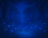 Midnight Fairy Woods