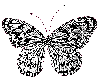 *S* Glitter Butterfly 7