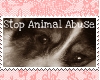 Help Stop Animal Abuse