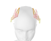 CANDY clips