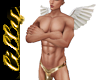 Cupid wings