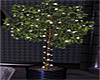 ~PS~ Sales Lighted Plant