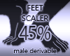 Feet Scaler Resizer 45%