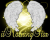 iiMorningStar Cstm Chain