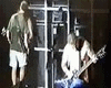 Pantera Whiplash