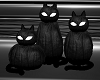 Black pumpkin cats