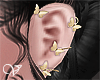 Ѷ Ezra Gold Earrings