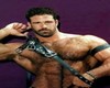 Hairy Stud Picture