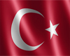 Turk Bayragi TurkishFlag