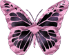 sticker  butterfly