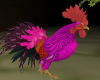 Purple Chicken