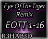 Eye Of The Tiger Remix