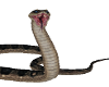 C!Pet Anaconda Snake