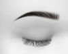 Babe Brows |brown