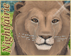 {NF} Zoo/Safari Lion