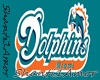 Miami Dolphin Bar