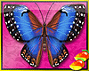 (RM)Butterflies BlueBrwn