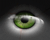 [MAR] Green real eyes