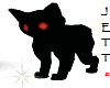 Pet Black Cat