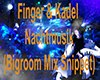 Finger&Kadel  Nachtmusik