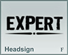 Headsign Expert