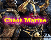 *SKY* WH Chaos Marine