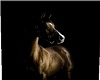 Horse N Shadow
