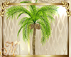 DGB Coconut Palm