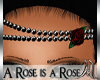 [M] A Rose is a Rose...