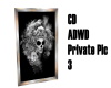 CD ADWD Private Pic 3
