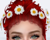 Daisies Crown