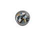 Bowl of Coins
