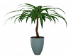 Victorian Potted Plant 3