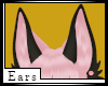 Sugar Ears Unisex