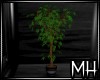 [MH] NJ Potted Plant