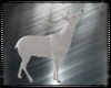 White Stag V3