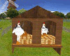 chickens big house