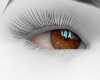 JS | honey eyes F JS | honey eyes F