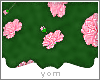 Y{ pink roses on floor }