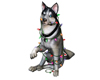 Husky Ani-W/Color Lights