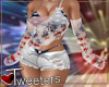 USA Set