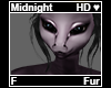 Midnight Fur F