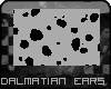 Dalmatian Ears