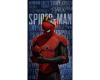 spideman cutout