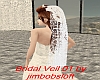 Bridal Veil 01
