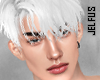 ♛Croix White Hair [M]